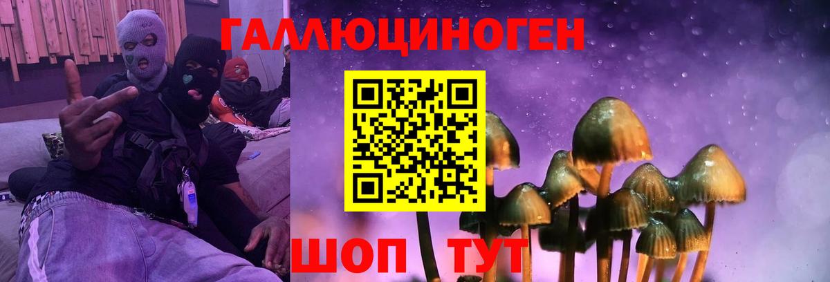 Ипатово  Галлюциногенные грибы Psilocybe  купить закладку  Вход с VPN  Галлюциногенные грибы MAGIC MUSHROOMS 